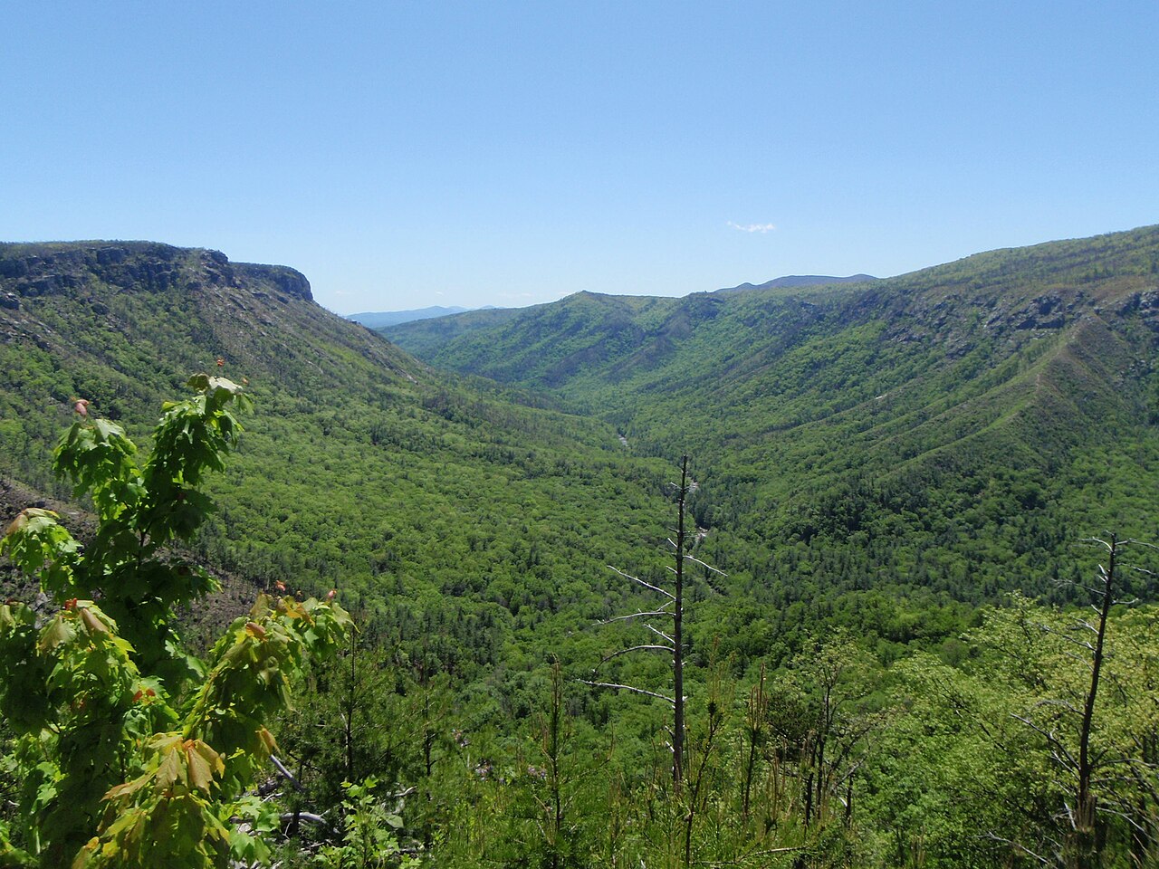 Linville Gorge