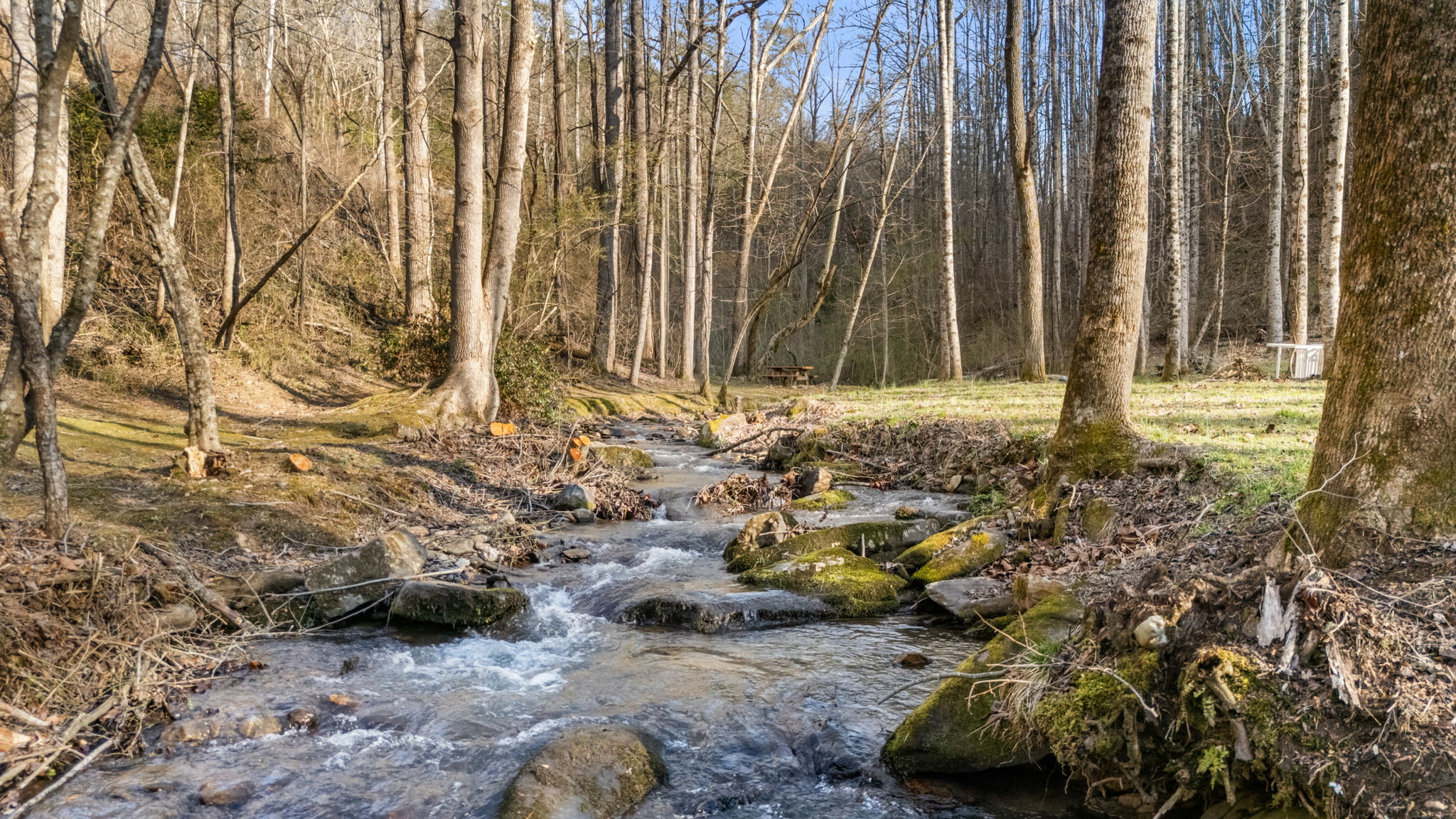 Fox Creek 1